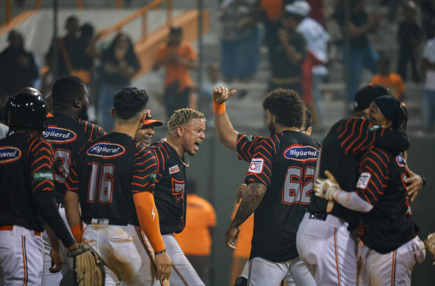  Los Toros dejan en el terreno a los tigres del Licey; y acarician los playoffs