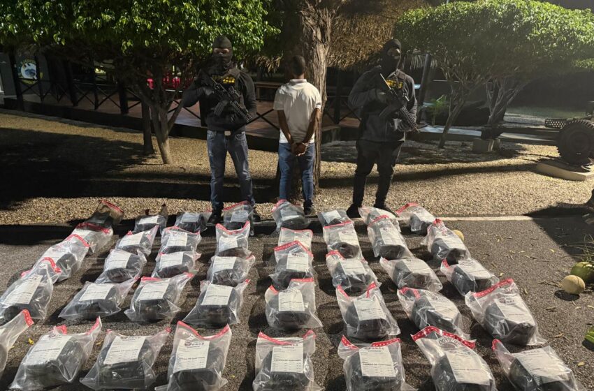  DNCD desarticula red de trafico de drogas e incauta 209 libras de marihuana, vehículos y un arma de fuego