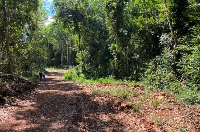  Convocan este Martes Santo a encendido de velas por protección a loma de Managuá en Bayaguana
