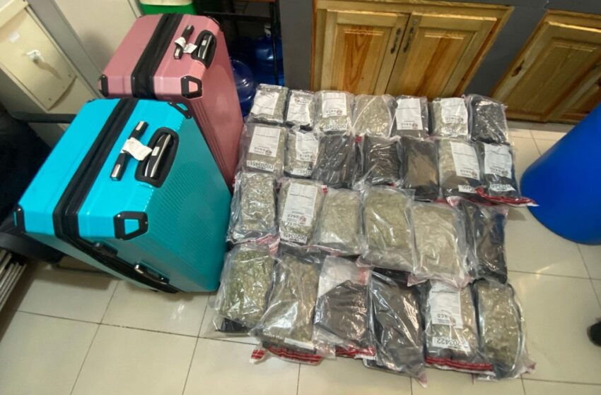  Intervienen dos maletas cargadas de presunta marihuana en aeropuerto Punta Cana