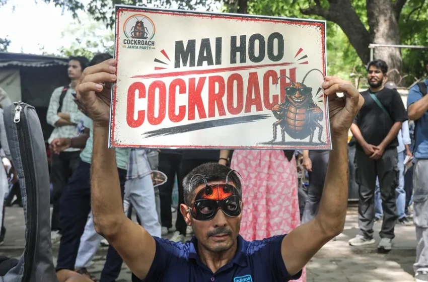  El Partido de las Cucarachas salta de internet a la calle en su primera protesta en India