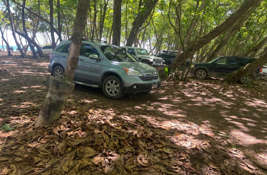  Escuelas de surf y negocios de Playa Encuentro piden intervención urgente para frenar entrada de vehículos a la franja costera