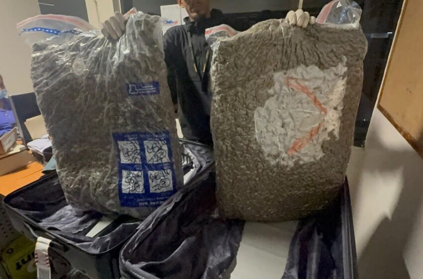  DNCD interviene maleta con 28 libras de marihuana en el AILA