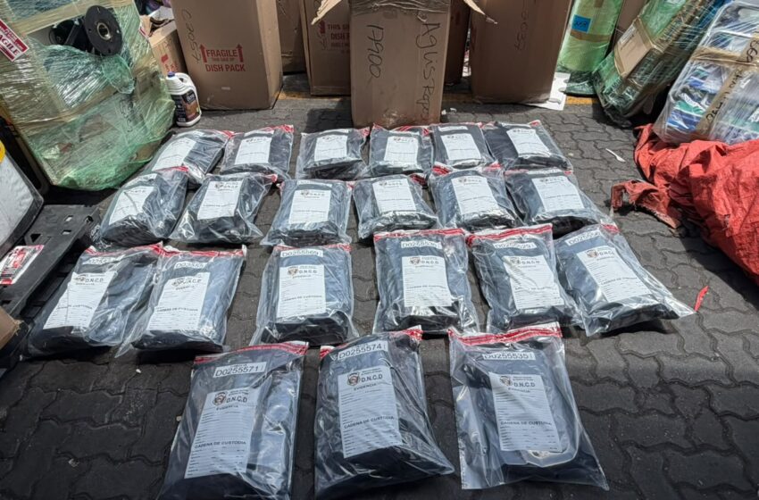  Otro Golpe: DNCD incauta 41 paquetes de marihuana en Puerto de Haina Oriental