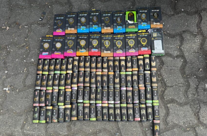  DNCD intercepta 100 vapers llenos de un líquido presumiblemente marihuana