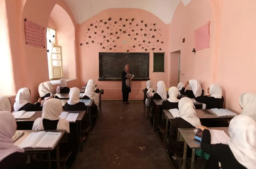  El veto de los talibanes a que las niñas afganas completen la educación secundaria afectó a 2,4 millones de menores en cinco años
