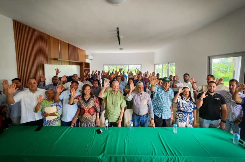  Sector Externo de la Fuerza Del Pueblo Juramenta Estructura Provincial en Sánchez Ramírez